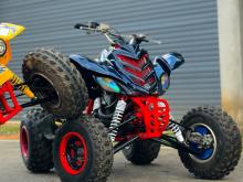 Yamaha Raptor 660 2007 Motorbike