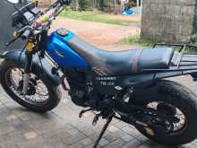 https://riyasewana.com/uploads/yamaha-tw-286231713302.jpg