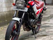 Yamaha Tzr 125 2006 Motorbike