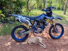 Yamaha WR 250 F 2009 Motorbike