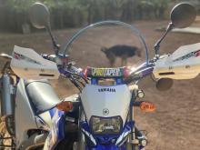 https://riyasewana.com/uploads/yamaha-wr250r-713184824911.jpg