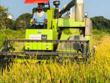 Yanmar Eco Combine Harvester 2019 Heavy-Duty