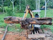https://riyasewana.com/uploads/yanmar-excavation-17705054521.jpg