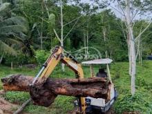 https://riyasewana.com/uploads/yanmar-excavation-287581846022597.jpg
