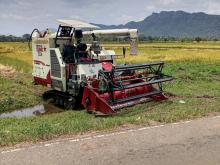Yanmar Sumo 2025 Heavy-Duty