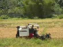 Yanmar Yanmar 2019 Tractor