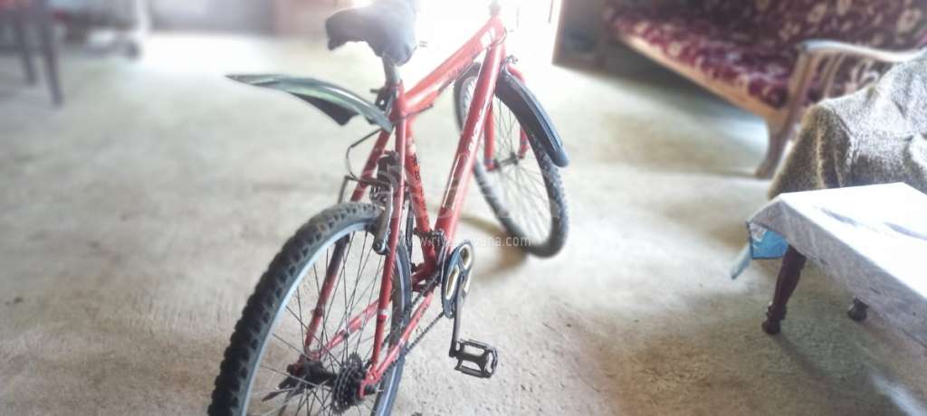 Bianchi 4/3 Bicycle Sri Lanka Bianchi 4/3 Bicycle Sri Lanka