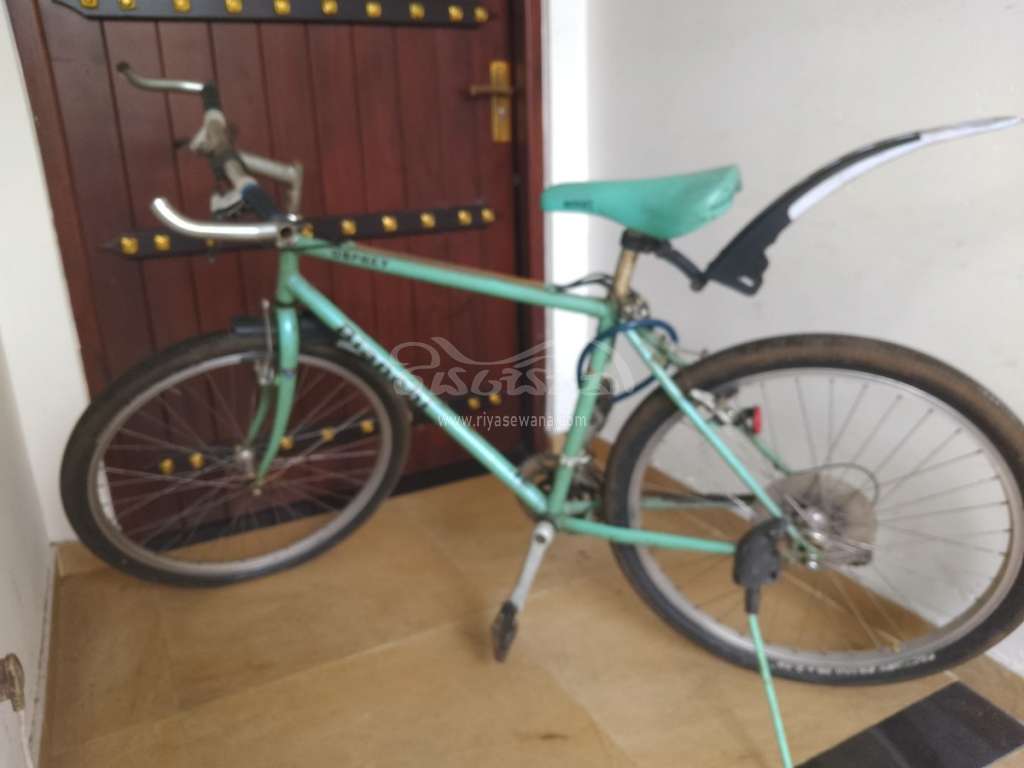 Bianchi BIANCHI OSPREY Bicycle Sri Lanka