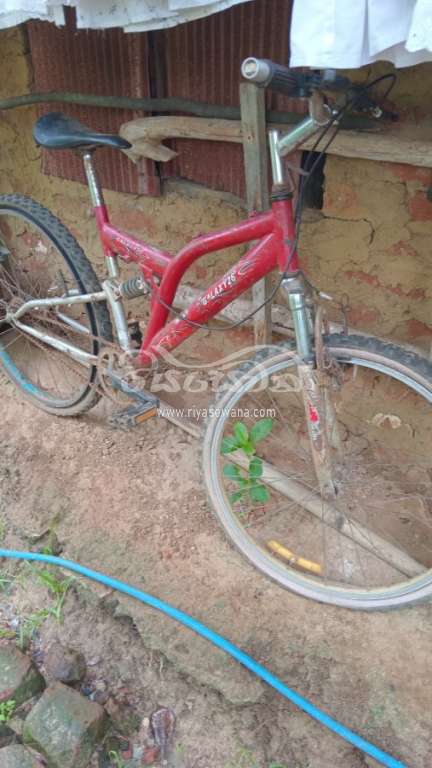 DSI Dsi Bicycle Sri Lanka