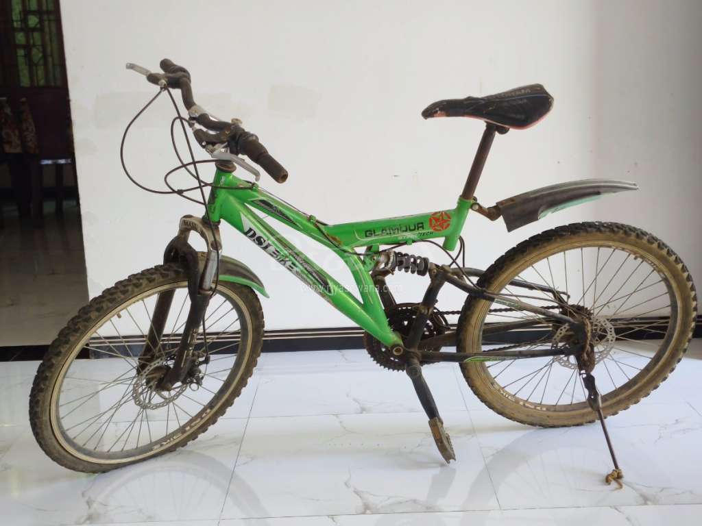 DSI Bike DSI Bike