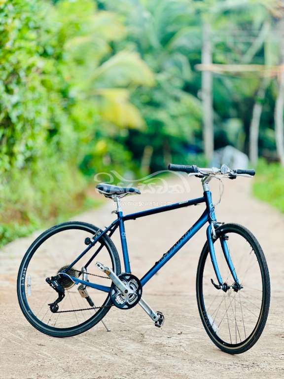 Giant Giant Bicycle Sri Lanka