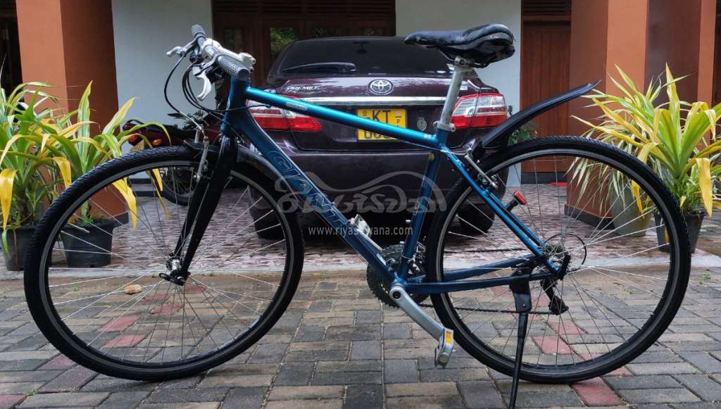 Giant ESCAPE R3 Bicycle Sri Lanka
