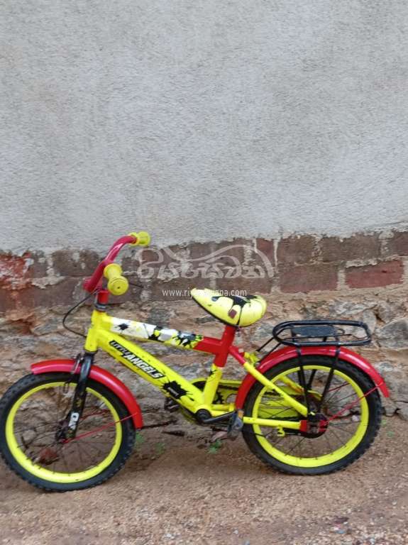 Kids Bicycle Bicycle Sri Lanka