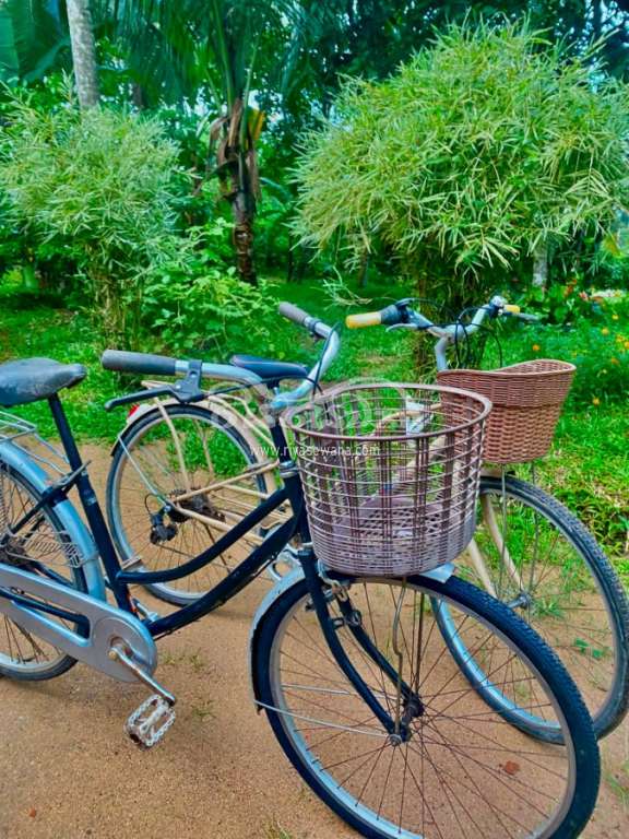 Lumala ලේඩිස් බයිසිකල් Bicycle Sri Lanka Lumala ලේඩිස් බයිසිකල් Bicycle Sri Lanka