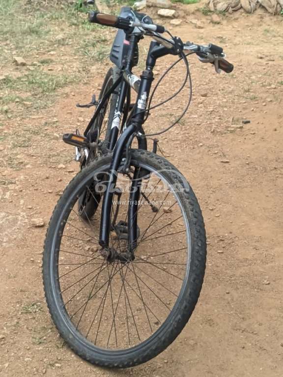 Lumala Active Bicycle Sri Lanka Lumala Active Bicycle Sri Lanka