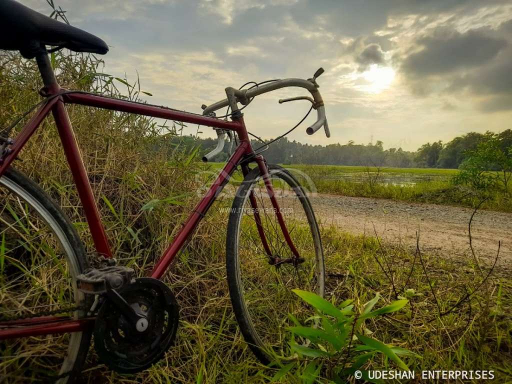 Other Chenger Bicycle Sri Lanka