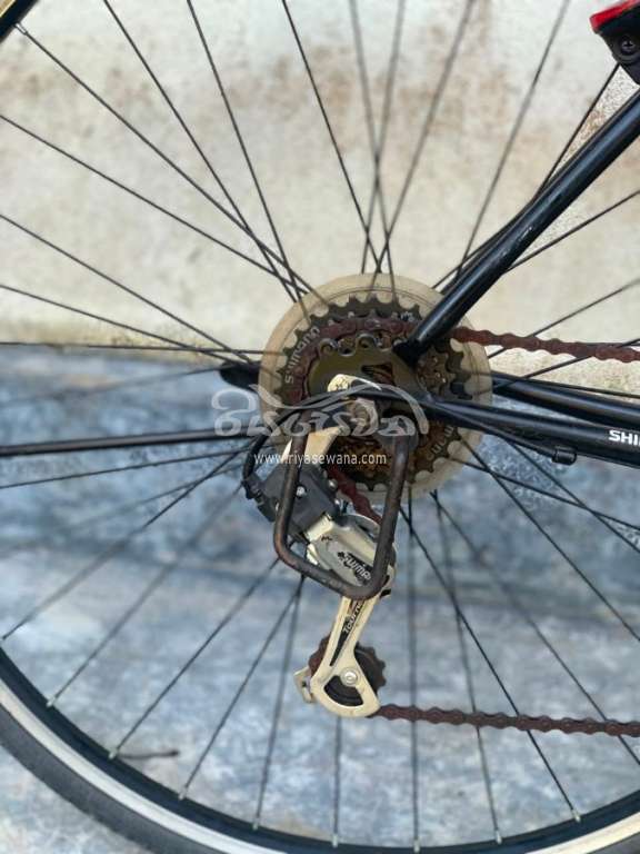 Other Comfort Sport Bicycle Sri Lanka