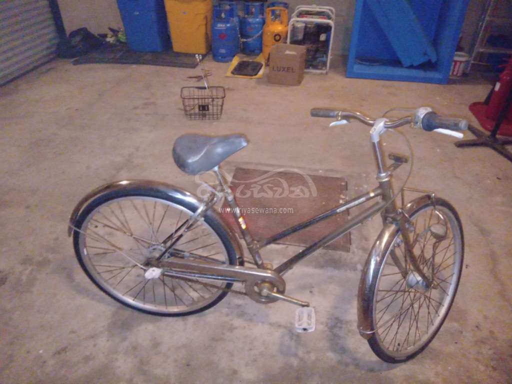Other Ledis Bicycle Sri Lanka