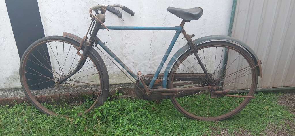 Other Standard Bicycle Sri Lanka