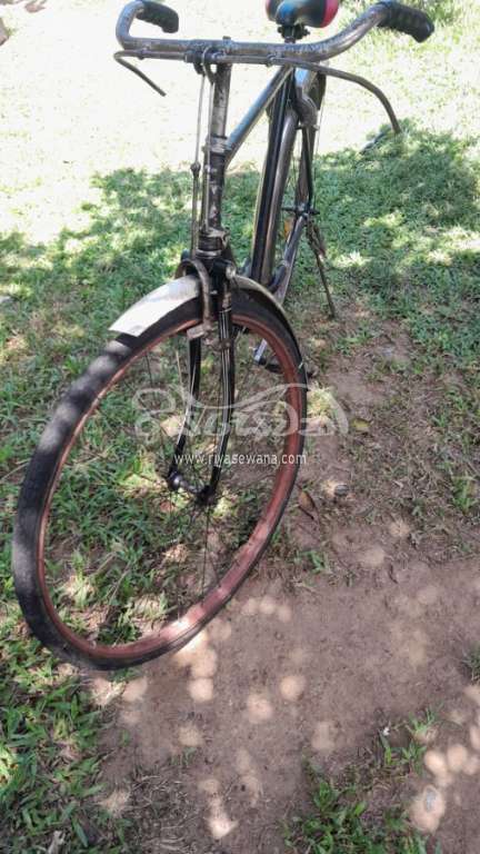 Other Standard Bicycle Sri Lanka