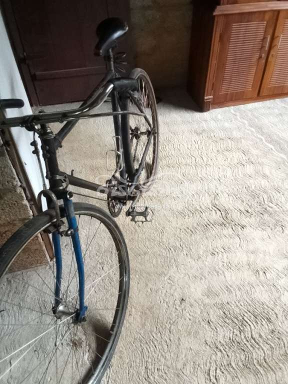 Other Standard Bicycle Sri Lanka