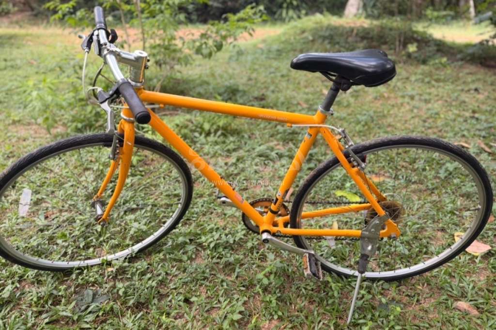 Other Weekend Bikes Japan City | 7 Speed | Excellent Condition Bicycle Sri Lanka Other Weekend Bikes Japan City | 7 Speed | Excellent Condition Bicycle Sri Lanka
