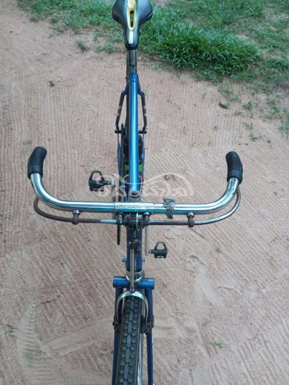 Raleigh Racing Bicycle Sri Lanka