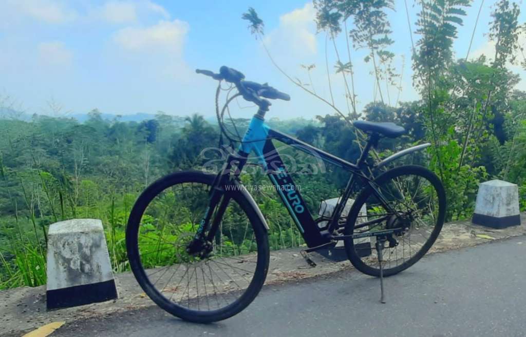 Other Electric bike Bicycle Sri Lanka
