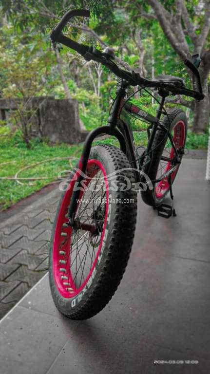 Shimano Lucan (hummer style) Bicycle Sri Lanka